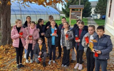 Dan sjećanja na žrtvu Vukovara i Škabrnje u PŠ Mraclin