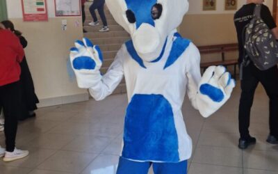 Prijave za sudjelovanje: Škola pod maskama