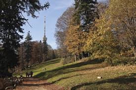 Učenici 7. razreda na Sljemenu