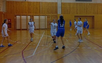 Županijsko natjecanje u košarci